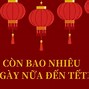 Ngày 23 Tháng 10 Năm 2024 Có Mưa Không